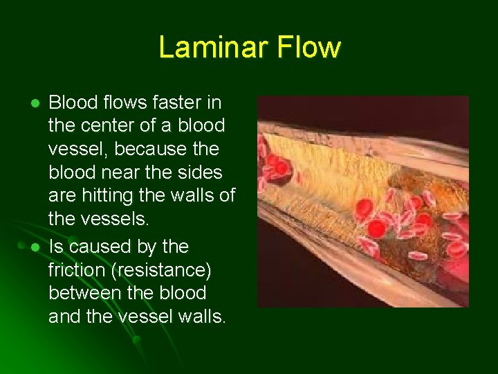 Laminar Flow l l Blood flows faster in the center of a blood vessel,