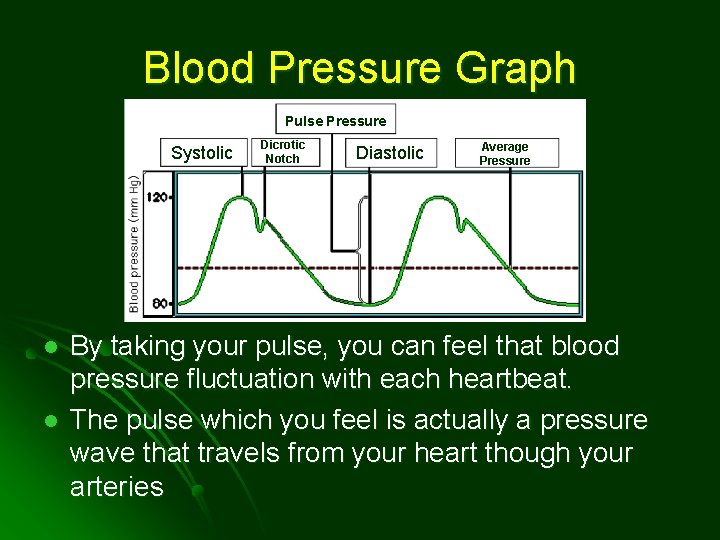 Blood Pressure Graph Pulse Pressure Systolic l l Dicrotic Notch Diastolic Average Pressure By