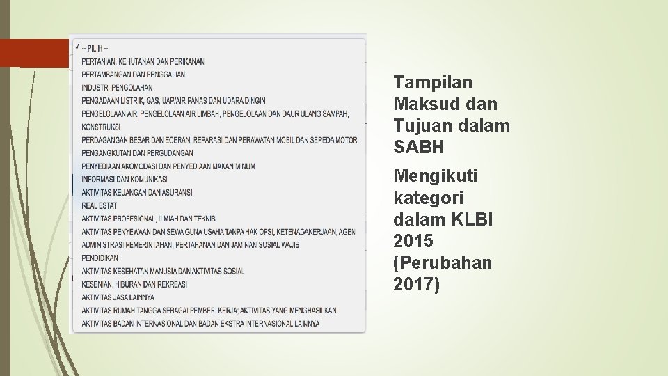 Tampilan Maksud dan Tujuan dalam SABH Mengikuti kategori dalam KLBI 2015 (Perubahan 2017) 