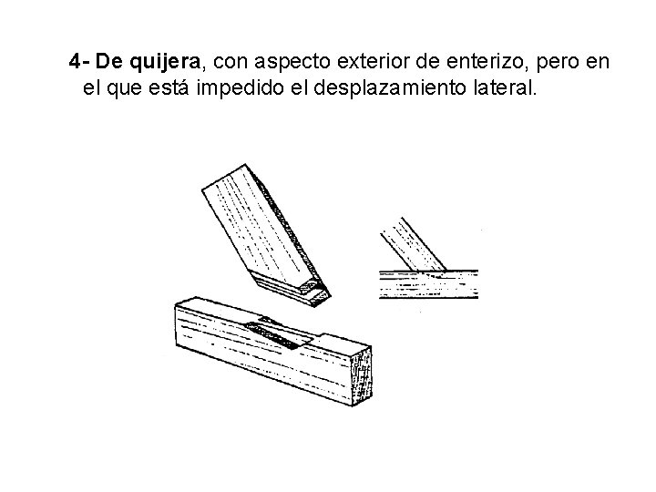 4 - De quijera, con aspecto exterior de enterizo, pero en el que está