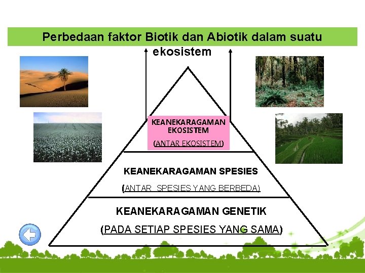 Perbedaan faktor Biotik dan Abiotik dalam suatu ekosistem KEANEKARAGAMAN EKOSISTEM (ANTAR EKOSISTEM) KEANEKARAGAMAN SPESIES