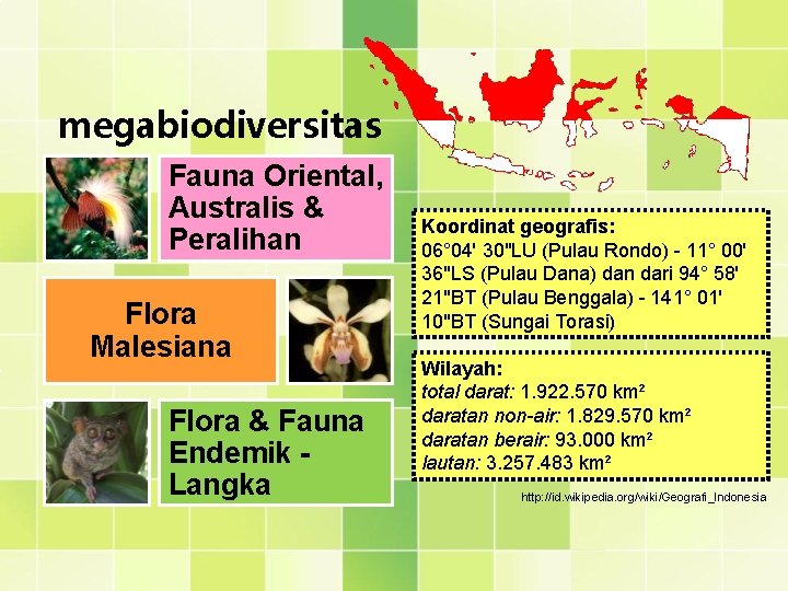 megabiodiversitas Fauna Oriental, Australis & Peralihan Flora Malesiana Flora & Fauna Endemik Langka Koordinat