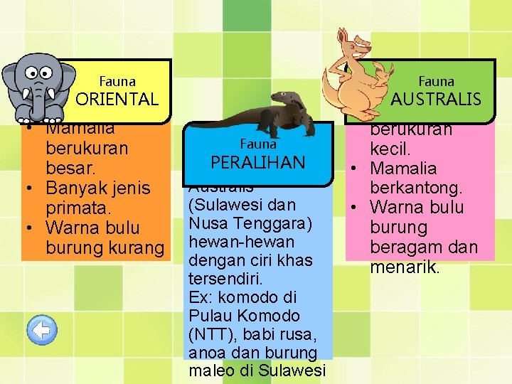 Fauna ORIENTAL • Mamalia berukuran besar. • Banyak jenis primata. • Warna bulu burung