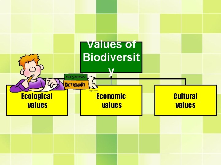 Values of Biodiversit y Ecological values Economic values Cultural values 