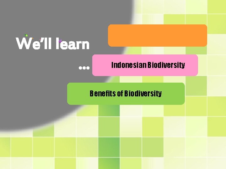 We’ll learn … Biodiversity Concept Indonesian Biodiversity Benefits of Biodiversity 