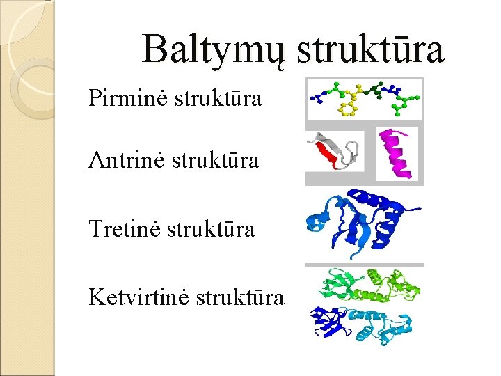 Baltymų struktūra Pirminė struktūra Antrinė struktūra Tretinė struktūra Ketvirtinė struktūra 