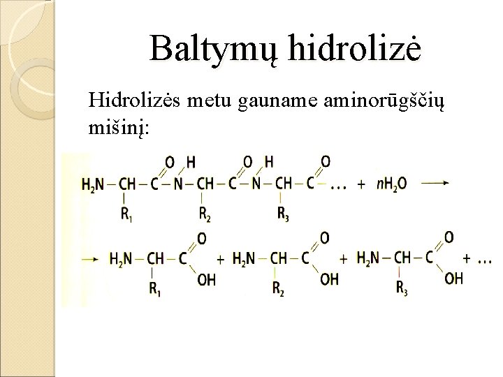 Baltymų hidrolizė Hidrolizės metu gauname aminorūgščių mišinį: 