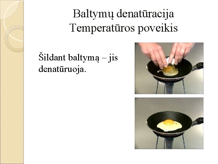 Baltymų denatūracija Temperatūros poveikis Šildant baltymą – jis denatūruoja. 