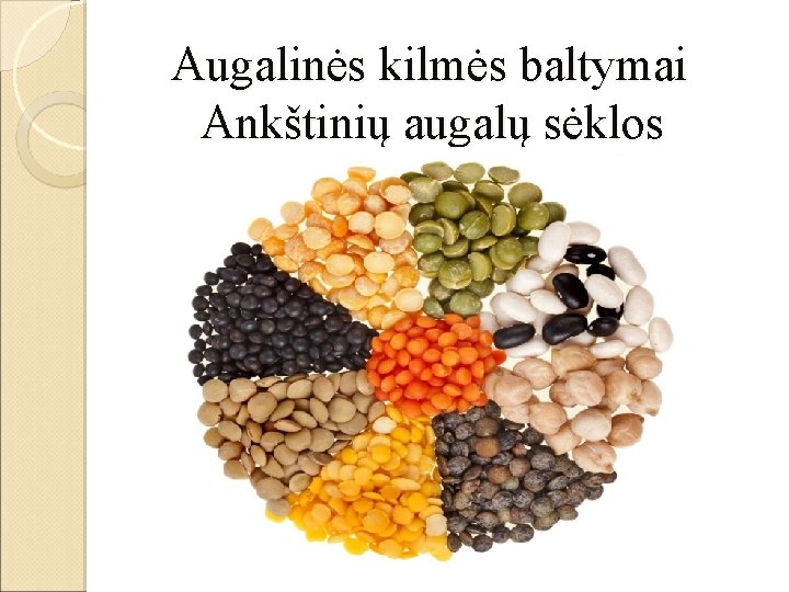  Augalinės kilmės baltymai Ankštinių augalų sėklos 