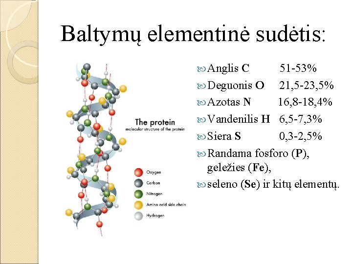 Baltymų elementinė sudėtis: Anglis C 51 -53% Deguonis O 21, 5 -23, 5% Azotas