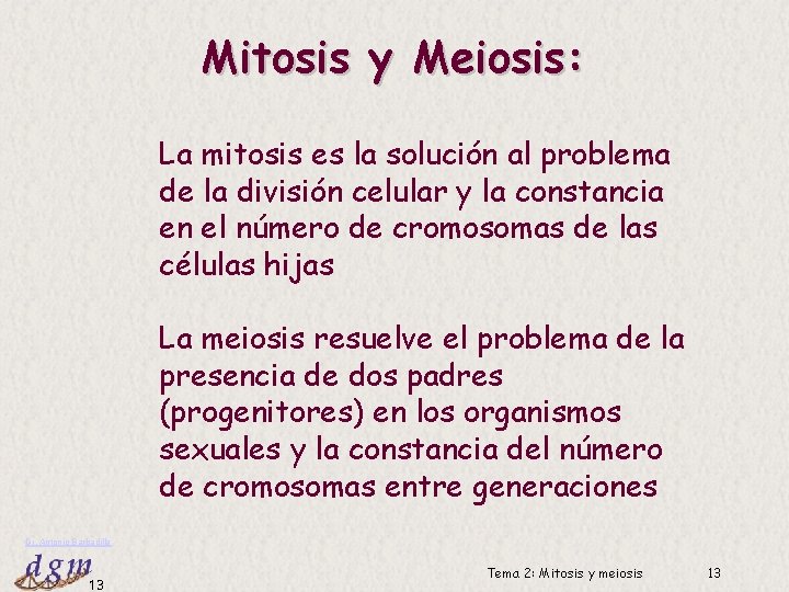 Mitosis y Meiosis: La mitosis es la solución al problema de la división celular