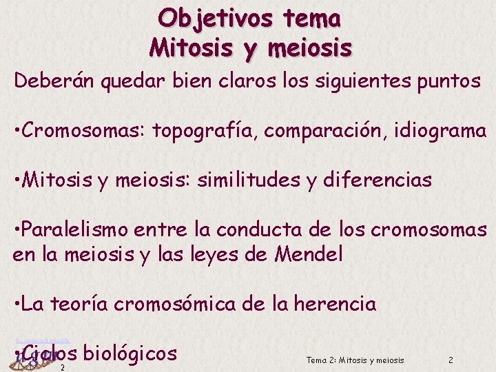 Objetivos tema Mitosis y meiosis Deberán quedar bien claros los siguientes puntos • Cromosomas: