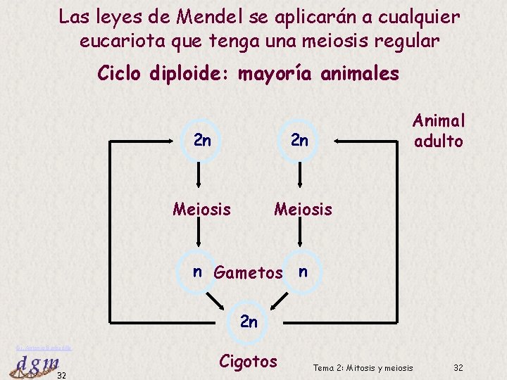 Las leyes de Mendel se aplicarán a cualquier eucariota que tenga una meiosis regular