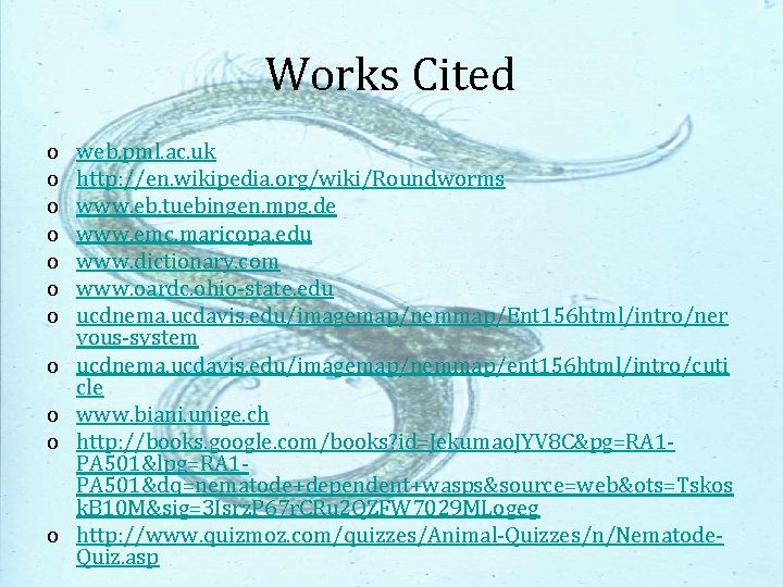 Works Cited o o o web. pml. ac. uk http: //en. wikipedia. org/wiki/Roundworms www.
