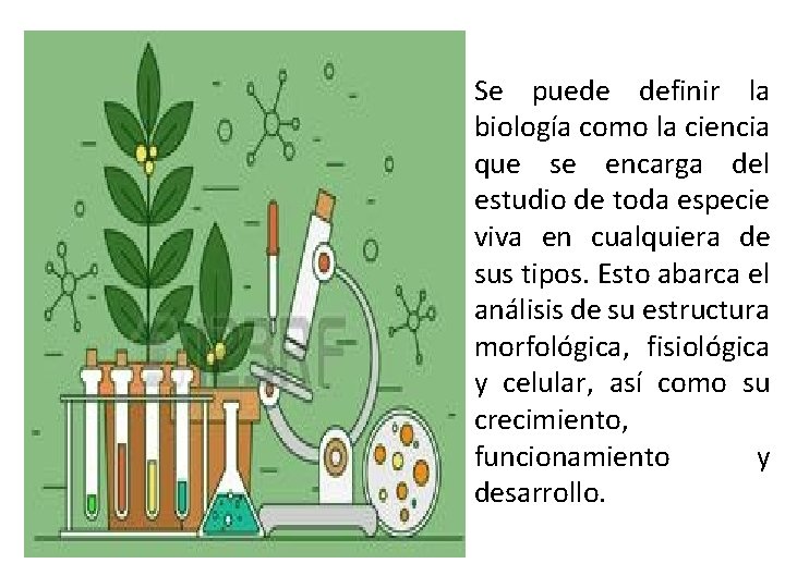 BIOLOGA Objetivos Identificar el campo de estudio de