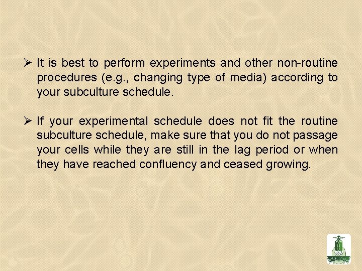 Ø It is best to perform experiments and other non-routine procedures (e. g. , Ø It is best to perform experiments and other non-routine procedures (e. g. ,