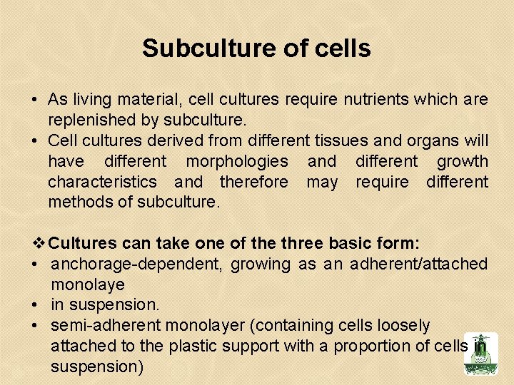 Subculture of cells • As living material, cell cultures require nutrients which are replenished Subculture of cells • As living material, cell cultures require nutrients which are replenished