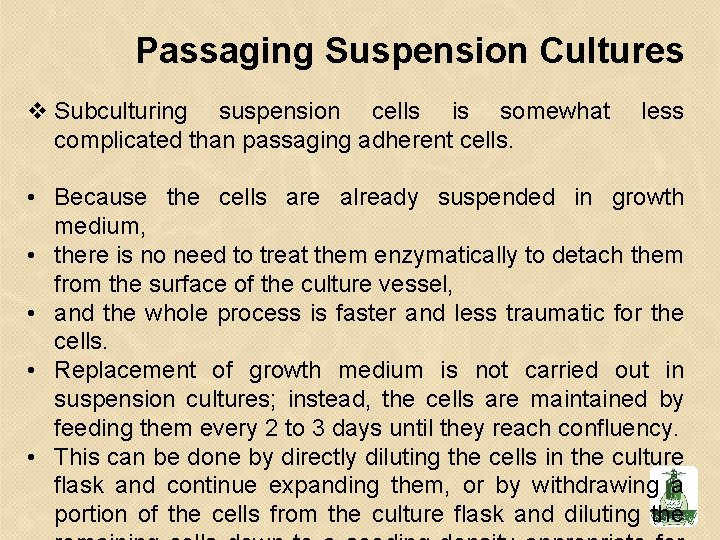 Passaging Suspension Cultures v Subculturing suspension cells is somewhat complicated than passaging adherent cells.