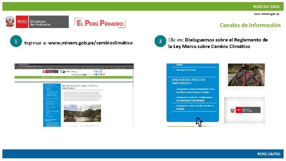 PERÚ NATURAL www. minam. gob. pe Canales de información 1 Ingresar a: www. minam.