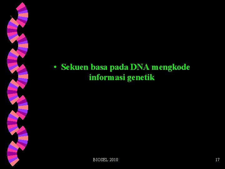  • Sekuen basa pada DNA mengkode informasi genetik BIOSEL 2010 17 