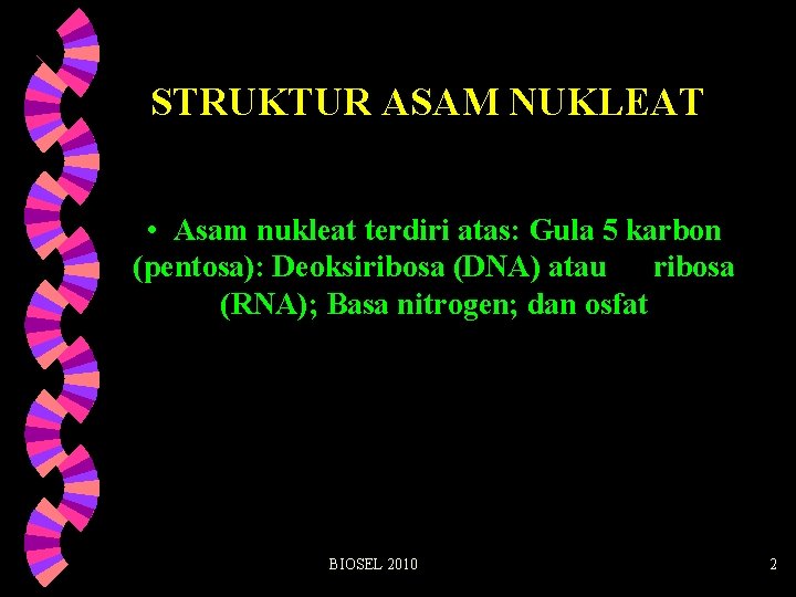 STRUKTUR ASAM NUKLEAT • Asam nukleat terdiri atas: Gula 5 karbon (pentosa): Deoksiribosa (DNA)