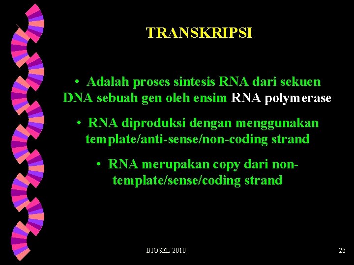 TRANSKRIPSI • Adalah proses sintesis RNA dari sekuen DNA sebuah gen oleh ensim RNA