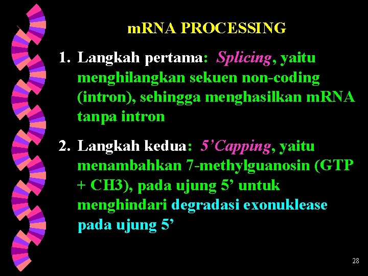 m. RNA PROCESSING 1. Langkah pertama: Splicing, yaitu menghilangkan sekuen non-coding (intron), sehingga menghasilkan