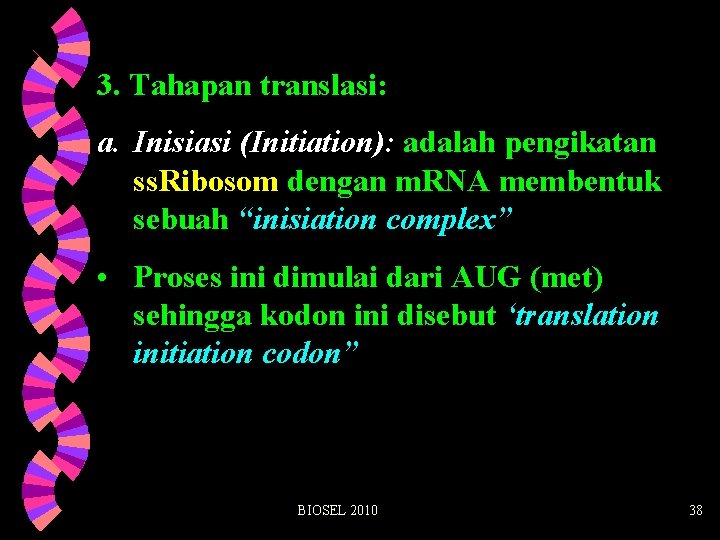 3. Tahapan translasi: a. Inisiasi (Initiation): adalah pengikatan ss. Ribosom dengan m. RNA membentuk