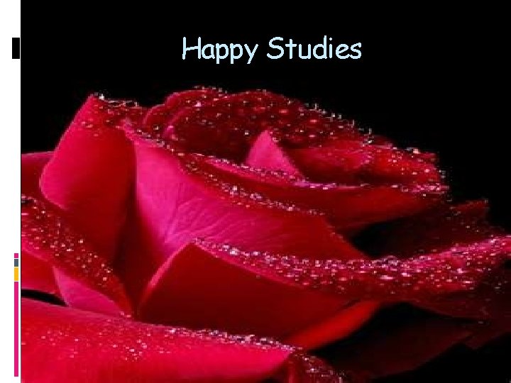 Happy Studies 