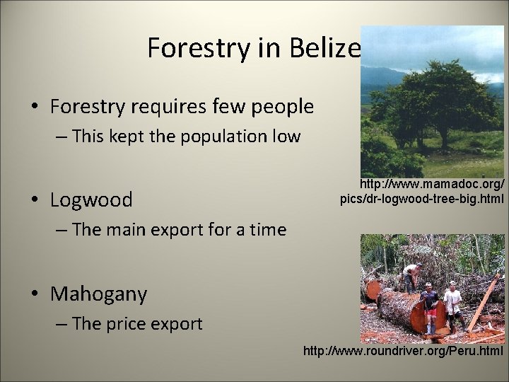 Forestry in Belize • Forestry requires few people – This kept the population low