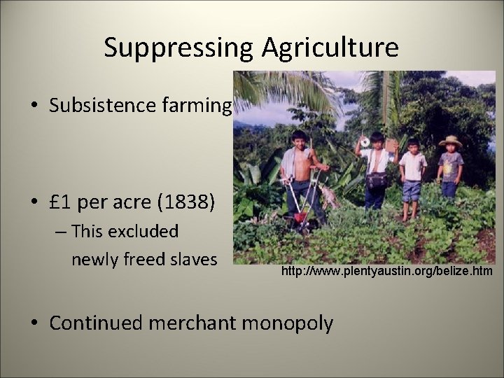 Suppressing Agriculture • Subsistence farming • £ 1 per acre (1838) – This excluded