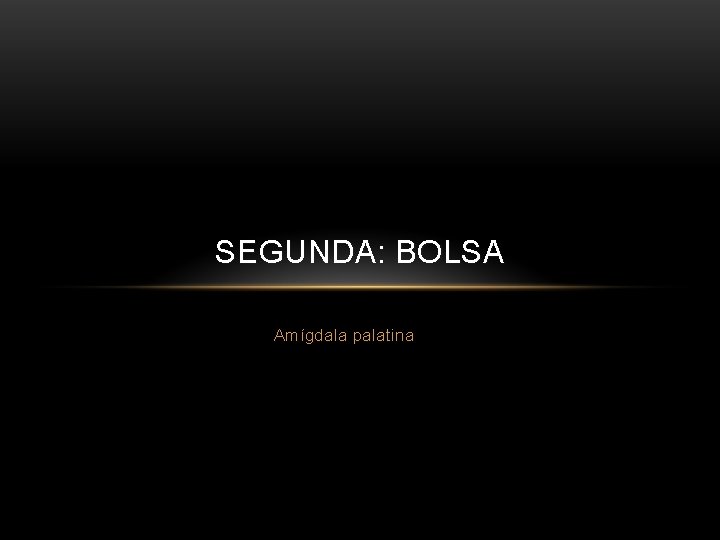 SEGUNDA: BOLSA Amígdala palatina 