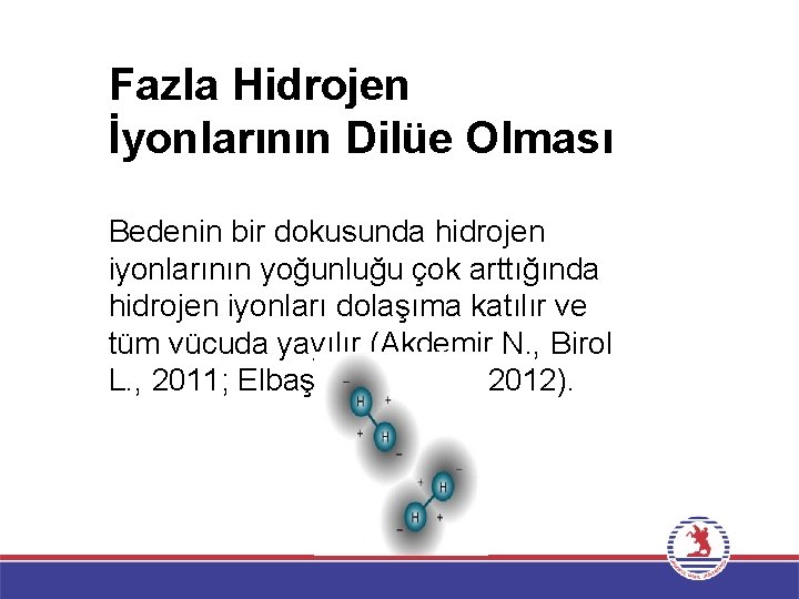 Fazla Hidrojen İyonlarının Dilüe Olması Bedenin bir dokusunda hidrojen iyonlarının yoğunluğu çok arttığında hidrojen