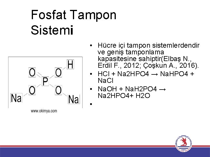 Fosfat Tampon Sistemi • Hücre içi tampon sistemlerdendir ve geniş tamponlama kapasitesine sahiptir(Elbaş N.