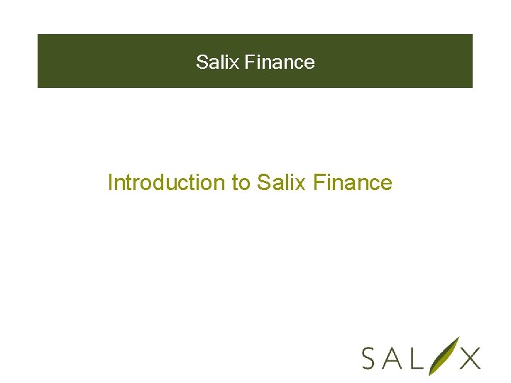 Salix Finance Introduction to Salix Finance 