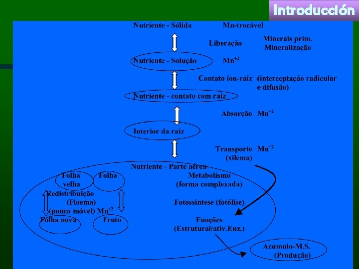Introducción 
