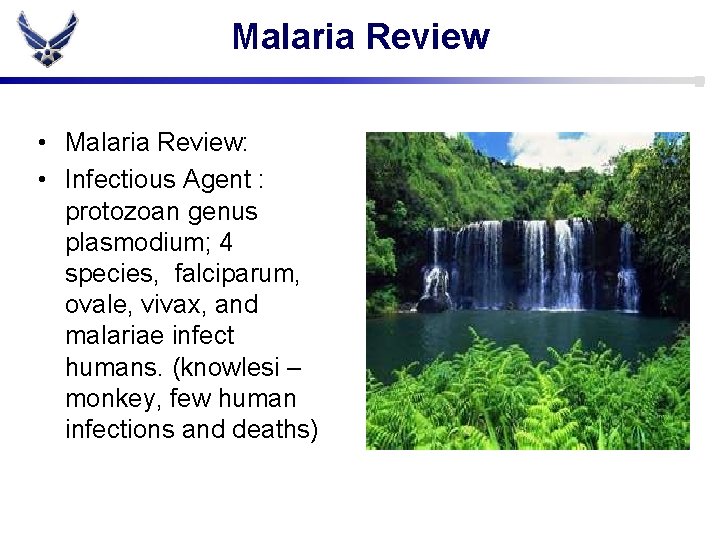 Malaria Review • Malaria Review: • Infectious Agent : protozoan genus plasmodium; 4 species,
