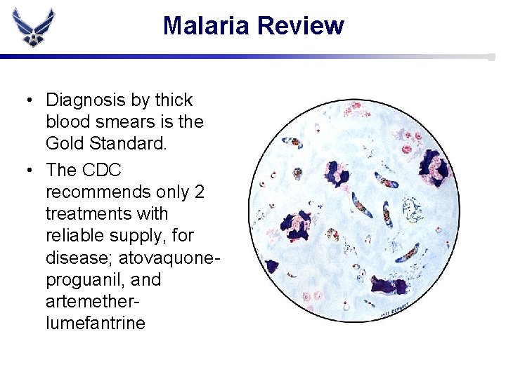Malaria Review • Diagnosis by thick blood smears is the Gold Standard. • The