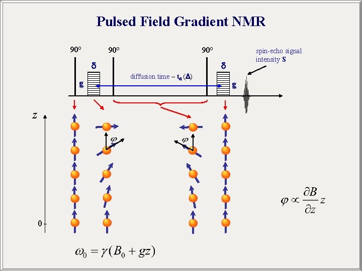 Pulsed Field Gradient NMR 90° 90° g z 0 spin-echo signal intensity S diffusion