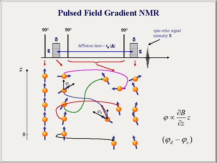 Pulsed Field Gradient NMR 90° 90° g z 0 spin-echo signal intensity S diffusion