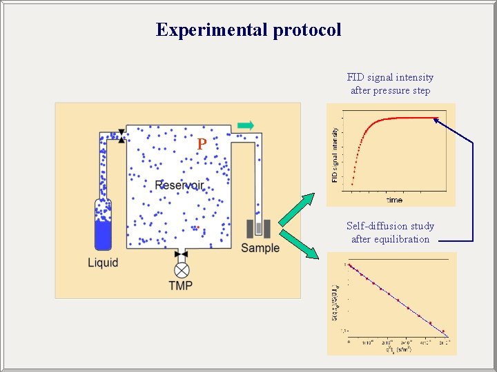 Experimental protocol FID signal intensity after pressure step P Self-diffusion study after equilibration 