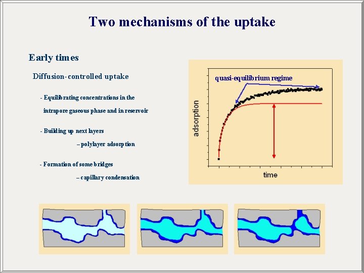 Two mechanisms of the uptake Early times Diffusion-controlled uptake - Equilibrating concentrations in the