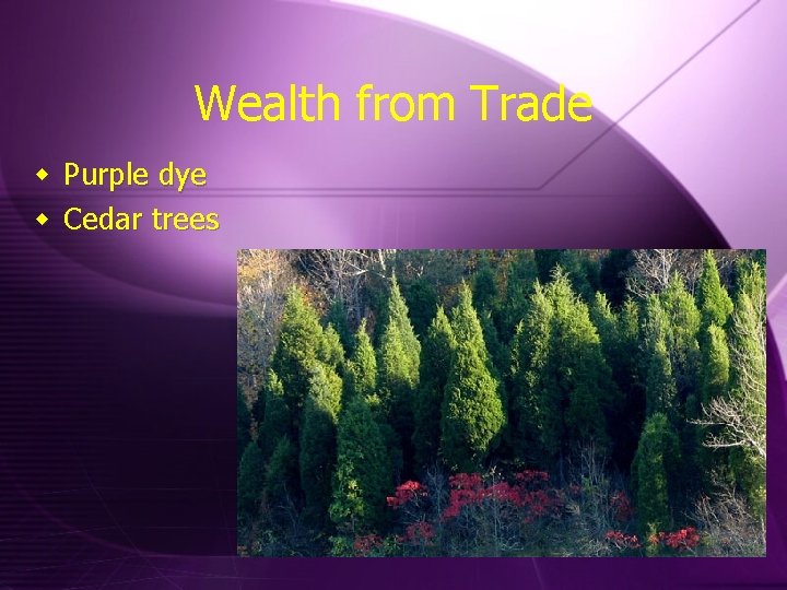 Wealth from Trade w Purple dye w Cedar trees 