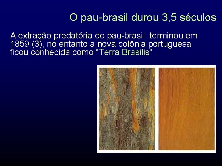 O pau-brasil durou 3, 5 séculos A extração predatória do pau-brasil terminou em 1859