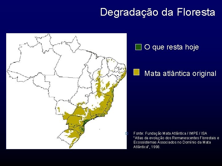 Degradação da Floresta O que resta hoje Mata atlântica original o Fonte: Fundação Mata