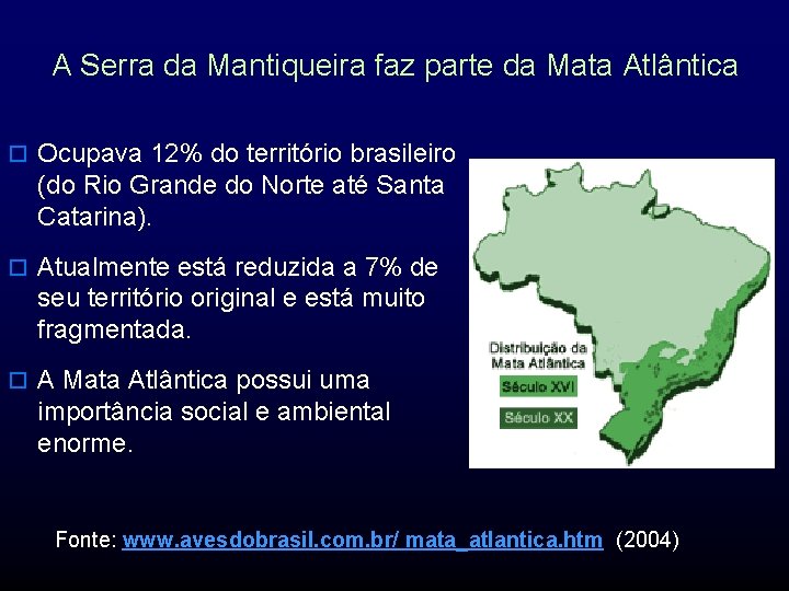 A Serra da Mantiqueira faz parte da Mata Atlântica o Ocupava 12% do território