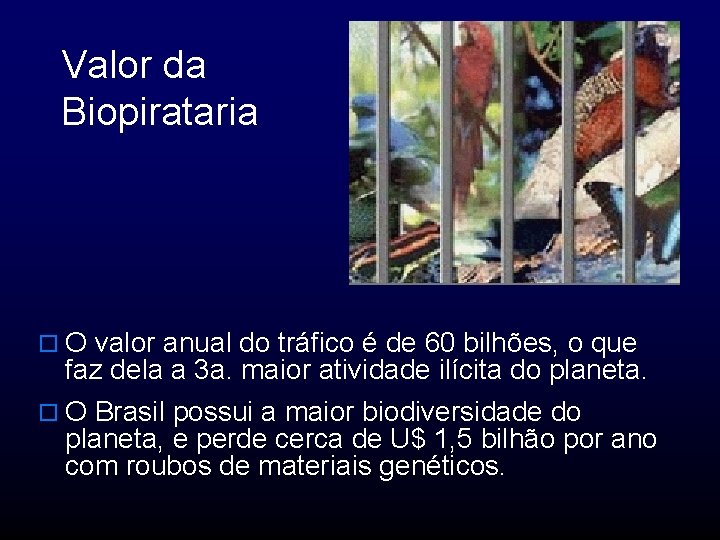 Valor da Biopirataria o O valor anual do tráfico é de 60 bilhões, o