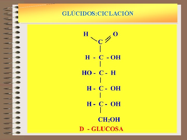 GLÚCIDOS: CICLACIÓN 