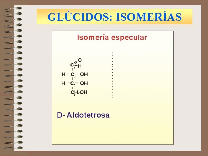 GLÚCIDOS: ISOMERÍAS 