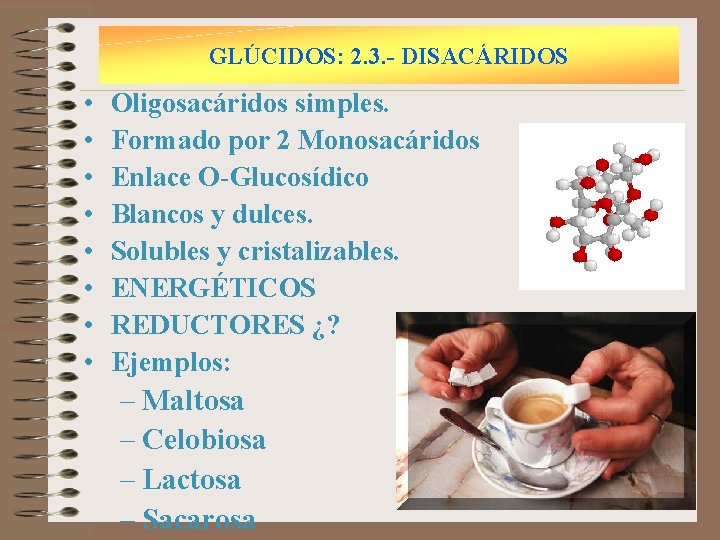 GLÚCIDOS: 2. 3. - DISACÁRIDOS • • Oligosacáridos simples. Formado por 2 Monosacáridos Enlace